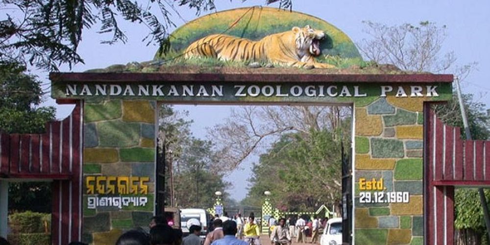 Top 5 Most Popular Zoos In India